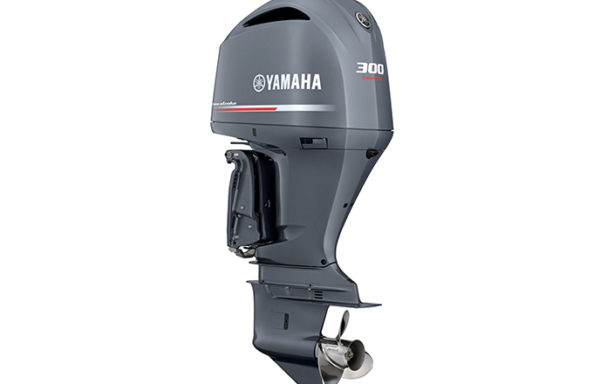 COMMERCIAL - 4 STROKE